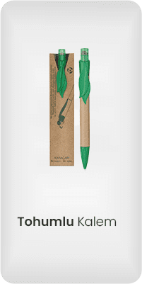 tohumlu kalem