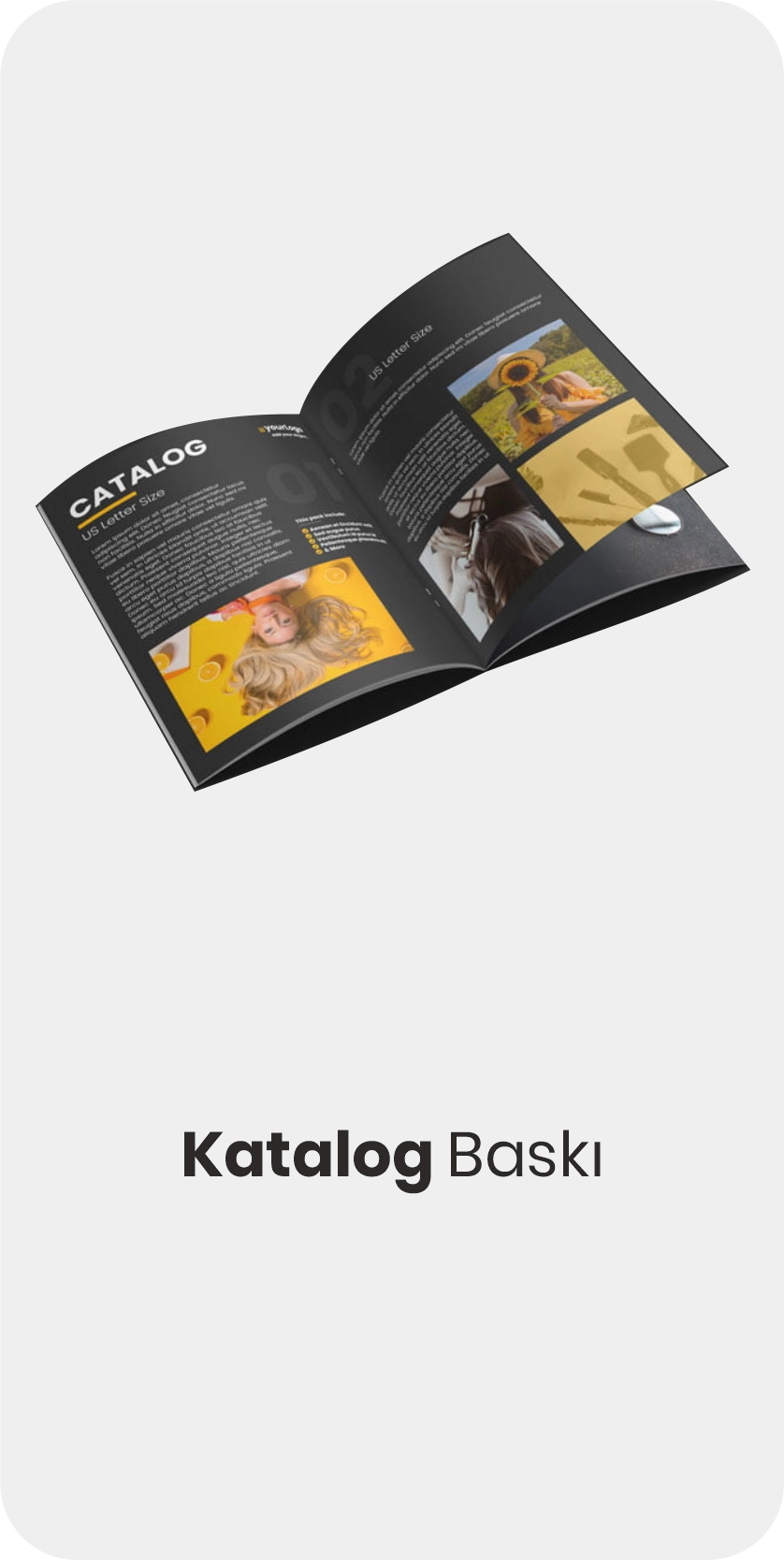 katalog baski