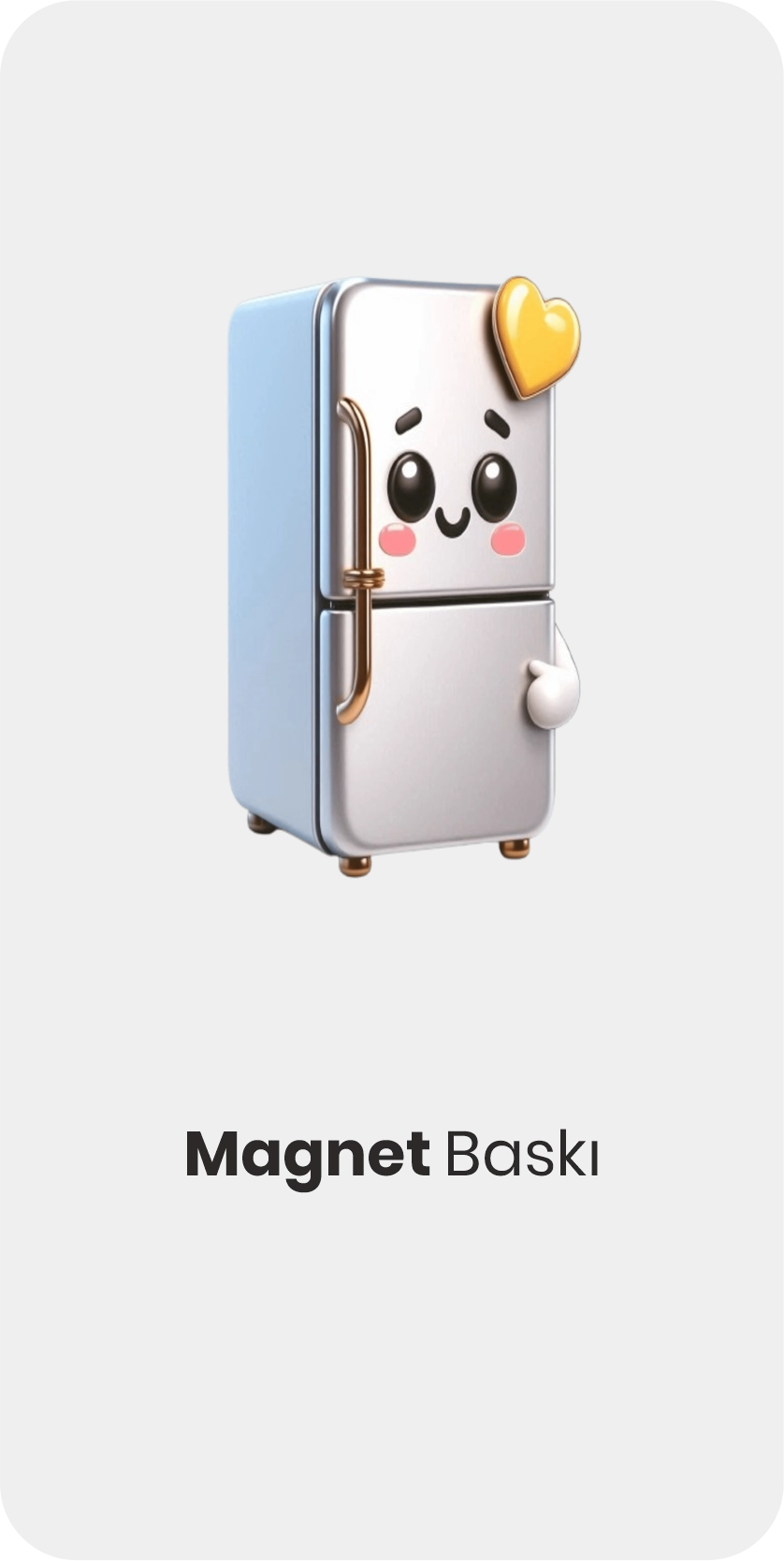 magnet baski