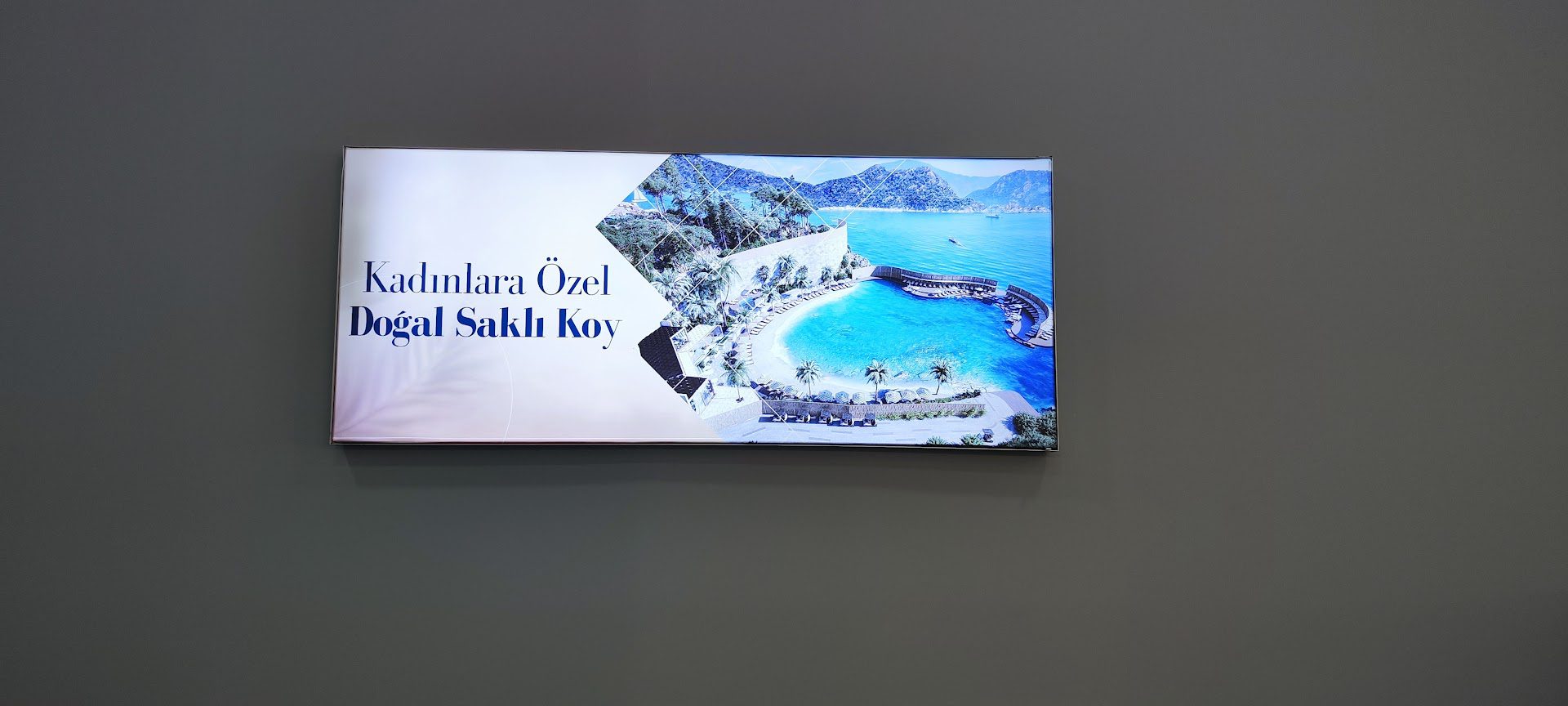 vitray reklam tabela lightbox orumcek stand rollup branda folyo baski uygulama 97